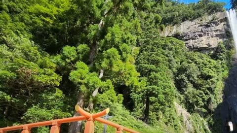 Seigantoji Buddhist Temple Wakayama Japan Tour