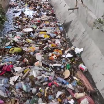 🇮🇩 THIS IS INDONESIA, WHERE IS GRETA?