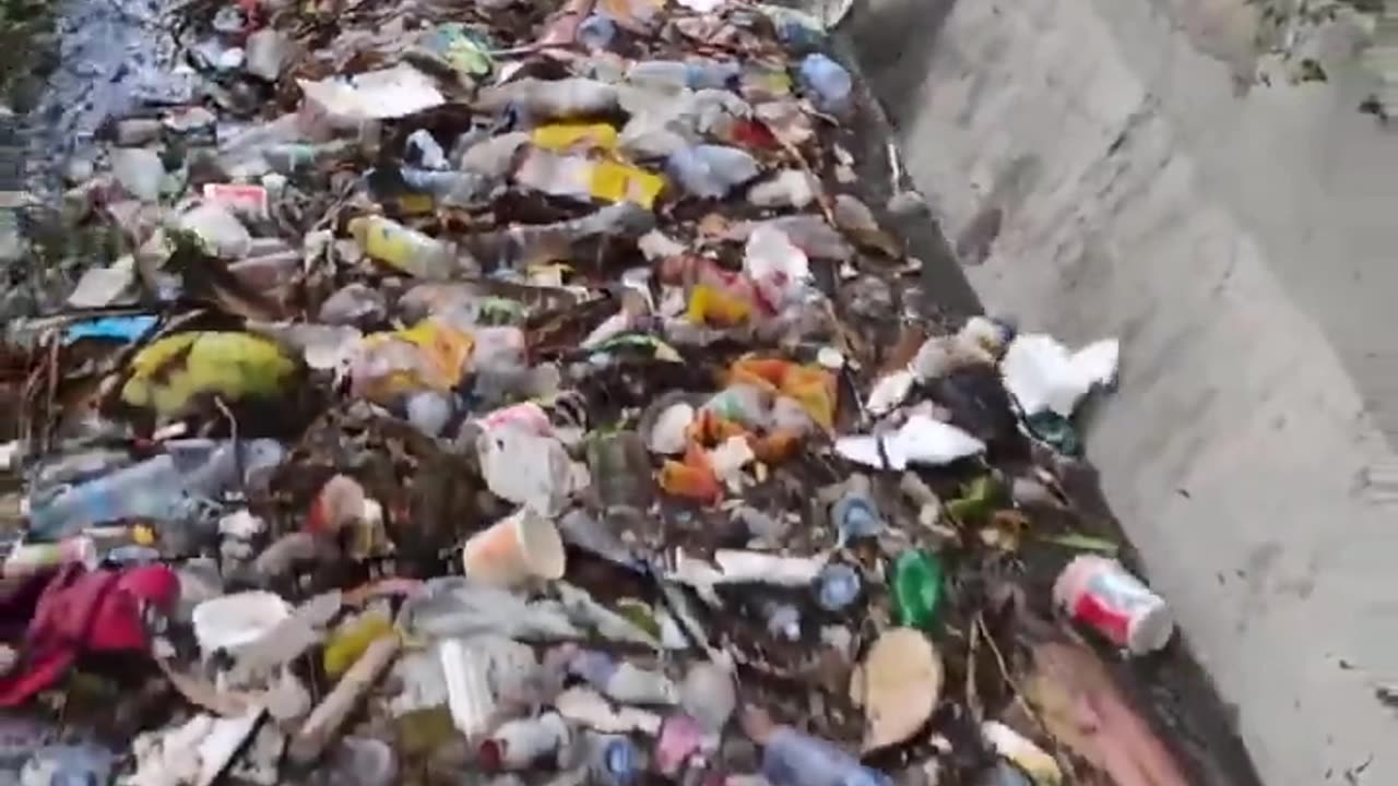 🇮🇩 THIS IS INDONESIA, WHERE IS GRETA?