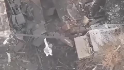 Ukriane war combat footage 10/1/25