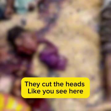 The people of the Congo have had enough