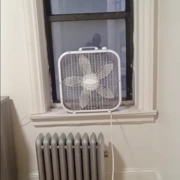 I got my SNAP benefits yesterday