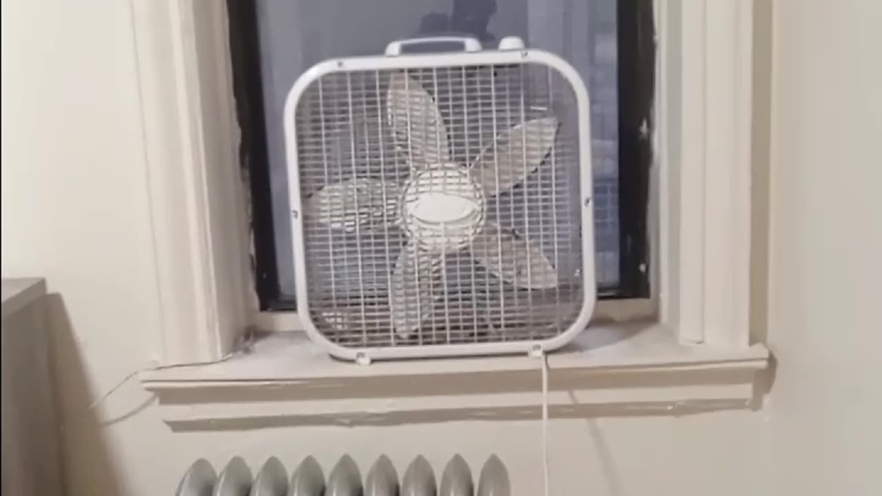 I got my SNAP benefits yesterday