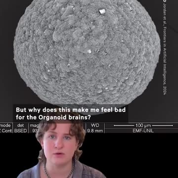 LAB grown HUMAN BRAINS - LARGEST LIVING COMPUTER_