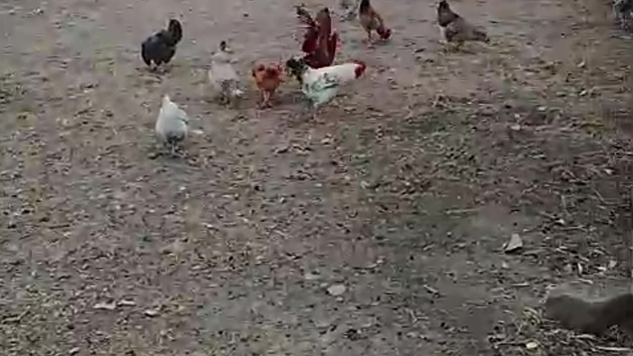 What's your take on this