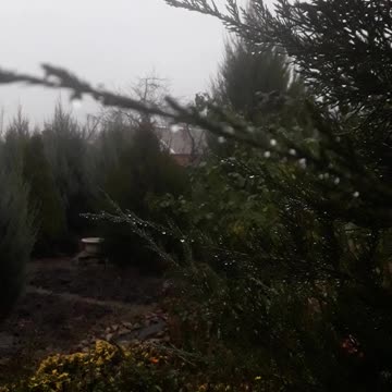 Autumn garden landscape