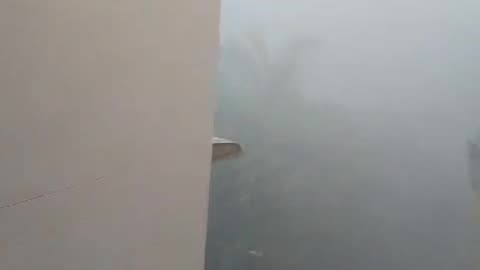 Daily fog in Delhi