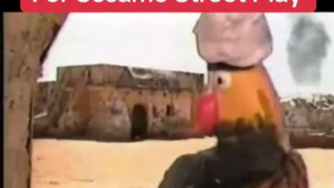 DOGE FUNDS IRAQI VERSION OF SESAME STREET