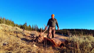 Elk Hunting Wyoming Public Land