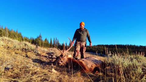 Elk Hunting Wyoming Public Land