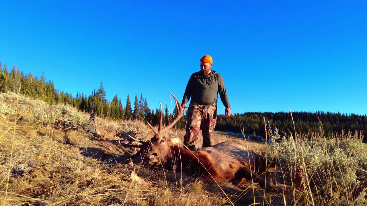 Elk Hunting Wyoming Public Land