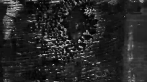 [GOLFING] - [GOLFING] - fc-fc-678