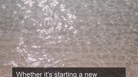 Daily Horoscope | Cancer 🌟