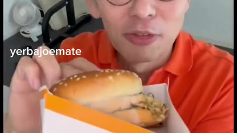 Shocking Comparison: Big Macs in America vs. Japan After 30 Days