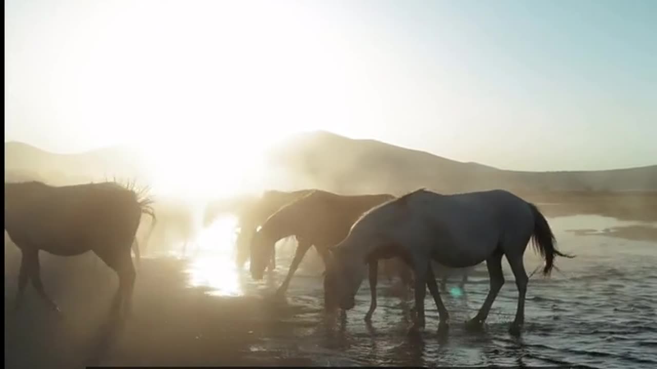 Daily Horoscope | Pisces 🌟