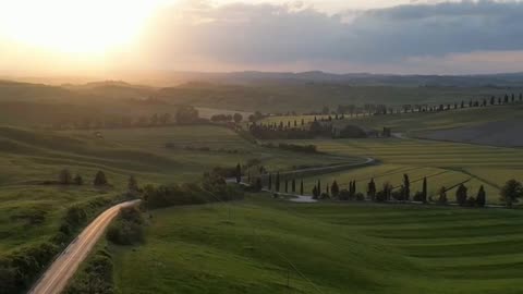 Daily Horoscope | Pisces 🌟