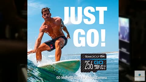 TEAMGROUP GO Card 256GB Micro SDXC UHS-I U3 V30 4K for GoPro & Action Cameras Hi