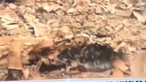 News channel appears to accidentally air the corpse of a person..