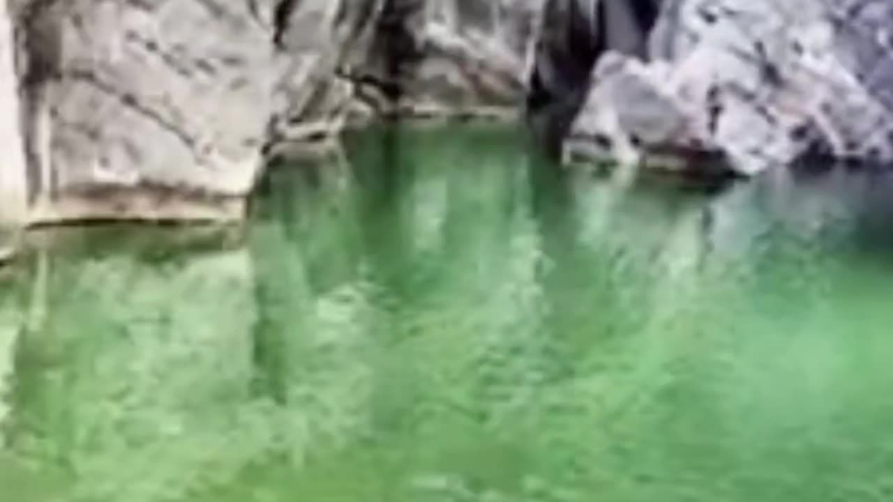 Detik detik pria terjun dari atas