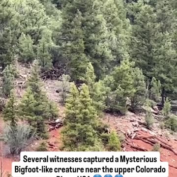 In May 2025, several people recorded a strange and shocking video 😲😲