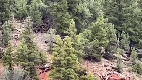 In May 2025, several people recorded a strange and shocking video 😲😲