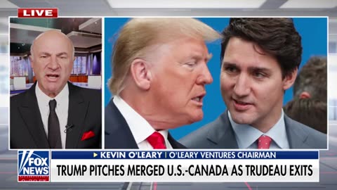 Trump pushes Canada to 'merge' with US: 'There would be no tariffs'