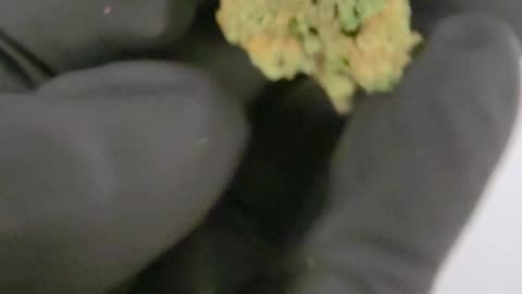 THC-A Flower Hawaiian Haze