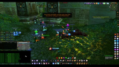 Turtle Wow - PUG ZG - Mage POV