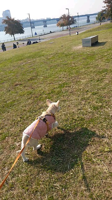 20251104. God is love.