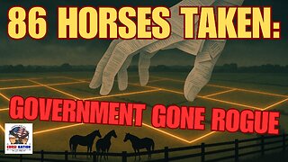 Horses Taken, Felony Charges Filed — But Was It All a Setup?