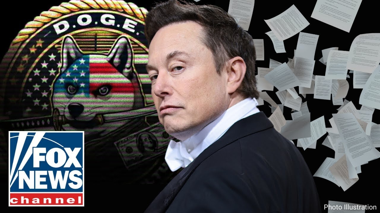 DODGING DOGE: Elon Musk's government efficiency team bombarded with lawsuits -FOX news