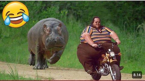 Welcome to our latest video TRY NOT TO LAUGH Best Funny Videos Compilation 😂