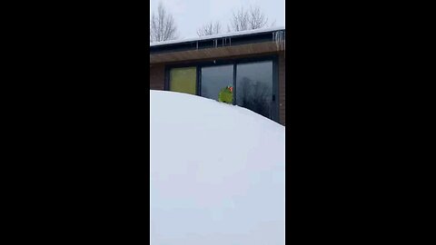 He Wanted Revenge. He Became the Snowball