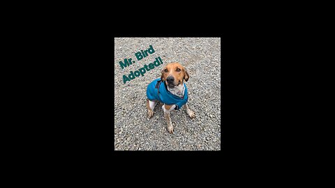 One home found… two 2 2 2 Hearts still waiting