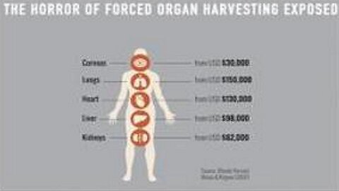 [May 21, 2018] The Horror of FORCED Organ Harvesting EXPOSED [SGT Report]