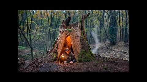 Building a Cozy Shelter Inside Large, Hollow Tree