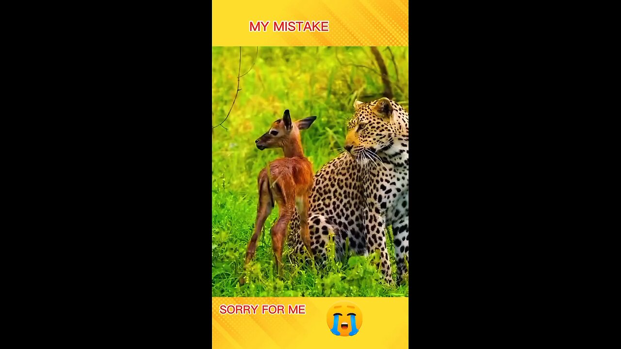 save your life 🧬 Save your life 🧬