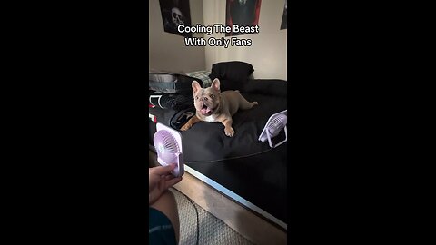 Cooling The Beast