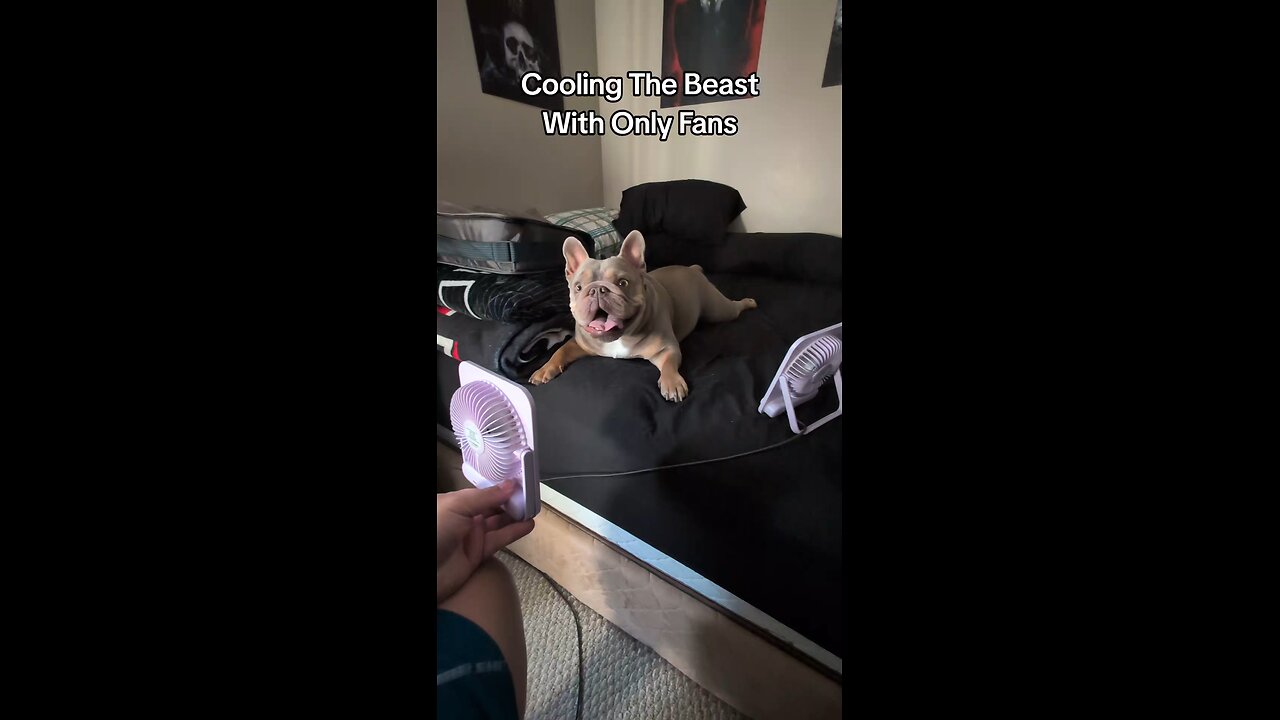 Cooling The Beast