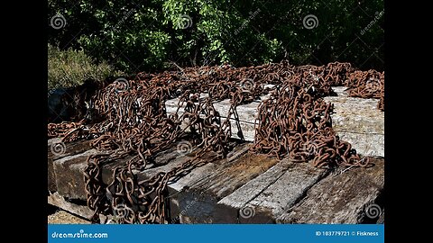 ~Dead Truck Drivers Tell No Lies~