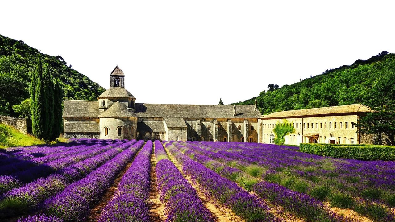 Live with Jen from Mindseye: Psychic Medium reading