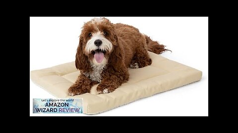 Pet Dreams Dog Crate Pad is The Original Dog Crate Bed Kennel Review