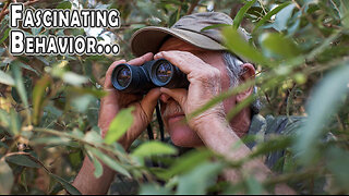 Friday Nite FCUKERY - What's Special Needs Travel Space Up To?