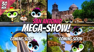 These Adorable Penguins Explore San Antonio Like Never Before || Funniest Tour Guides