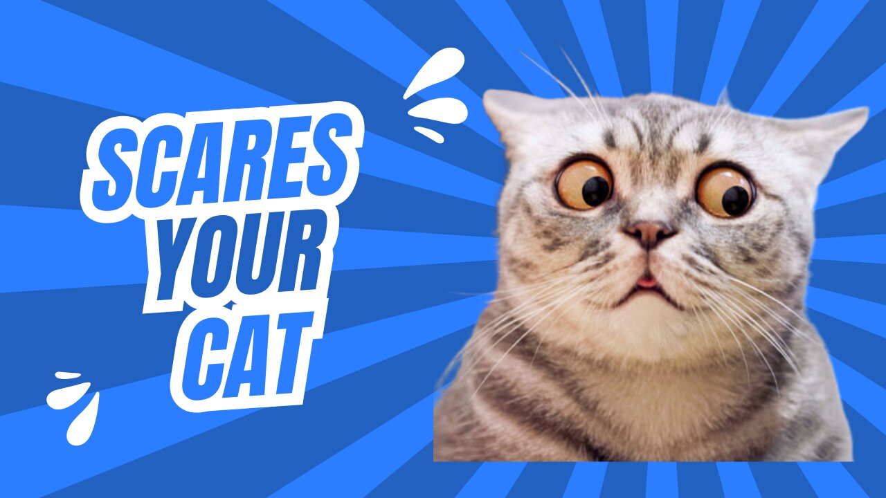 3 Crazy Things Cats FEAR Most! (You’ll Flip at #3)