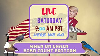 Saturday *LIVE* When On Chain Bird Count Edition
