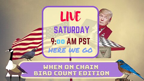 Saturday *LIVE* When On Chain Bird Count Edition