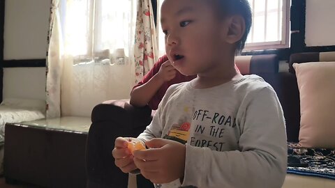 Marvin eats orange then choses violence 🍊🍊🐒