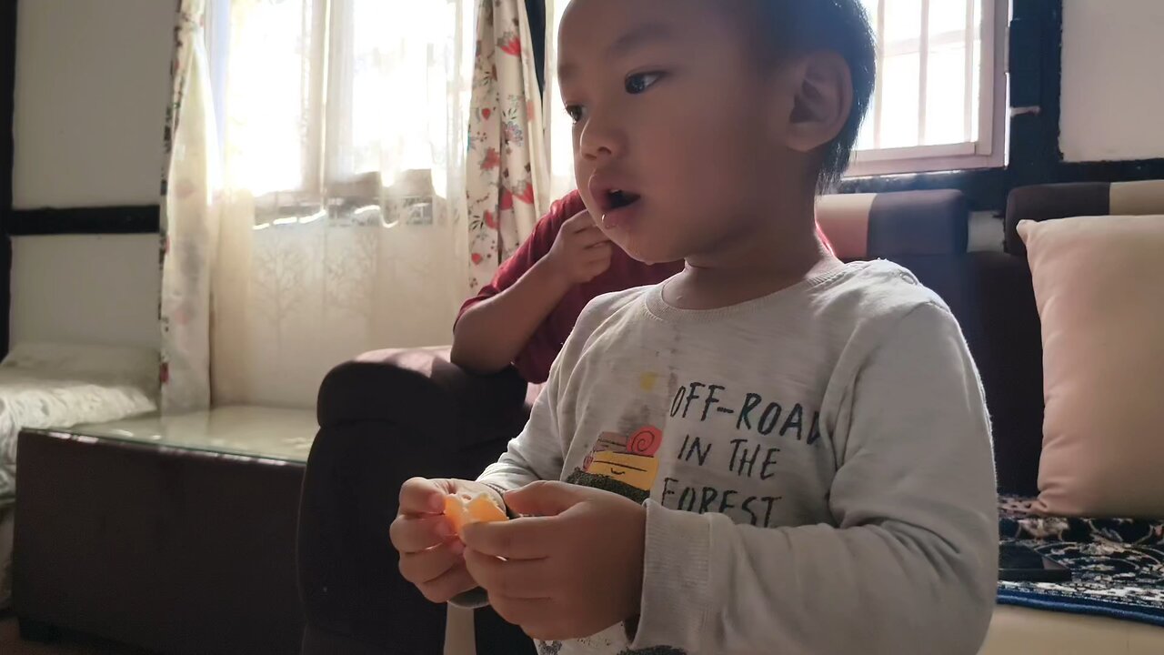 Marvin eats orange then choses violence 🍊🍊🐒