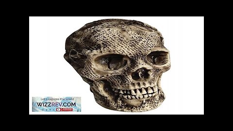 Burlap Skull Head Spooky Prop Review